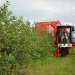 cherry harvesting with FELIX