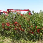 комбайн для уборки кустарниковых ягодников (4)