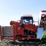carrot harvester ALINA ECO v. short conveyor