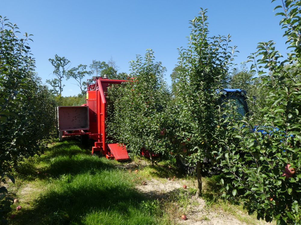Machine de récolte pommes FELIX-Z